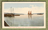 Postcard: Wellington Harbour, 1905