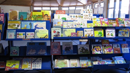 Bilingual picture books at Newtown library