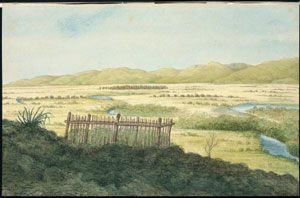 Wairau April 1851, Charles Gold