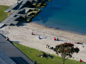 Freyberg Beach, looking towards the water and the wave platform.