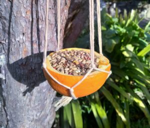 A birdfeeder made out of a half-orange and a cradle of knotted yarn.