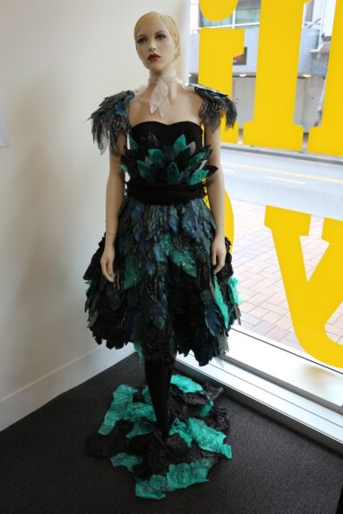 A Wearable Art garment comprised of fake feathers is displayed on a mannequin in a library window.