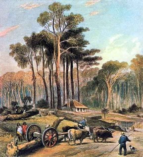  Messrs Clifford's & Vavasour's Clearing (Skipwith's) Parerua Bush, by Samuel Charles Brees, Pictorial Illustrations of New Zealand, John Williams and Co., London, 1848.