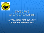 effective microorganisms presentation