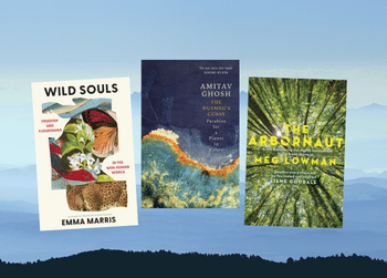 Landscape image featuring three book covers from our recent picks.