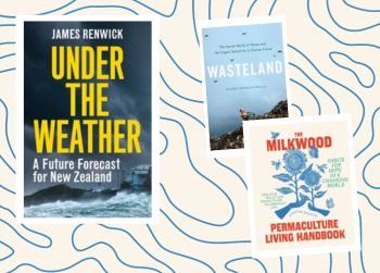 Strange Weather: Recent climate books
