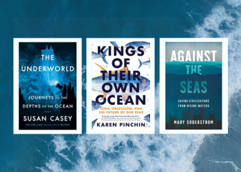 3 new oceanic science book covers silhouetted against a backdrop of a wave crashing on the shore