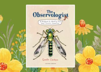 The observologist cover (showing an illustrated dragonfly) on a green background with yellow flowers.