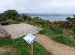 Pages of a book sit on a post, near a bench, overlooking the Wellington harbour