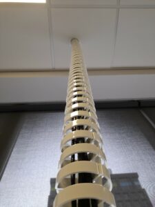 A spine-like plastic guard around power cables attaches into a ceiling tile.