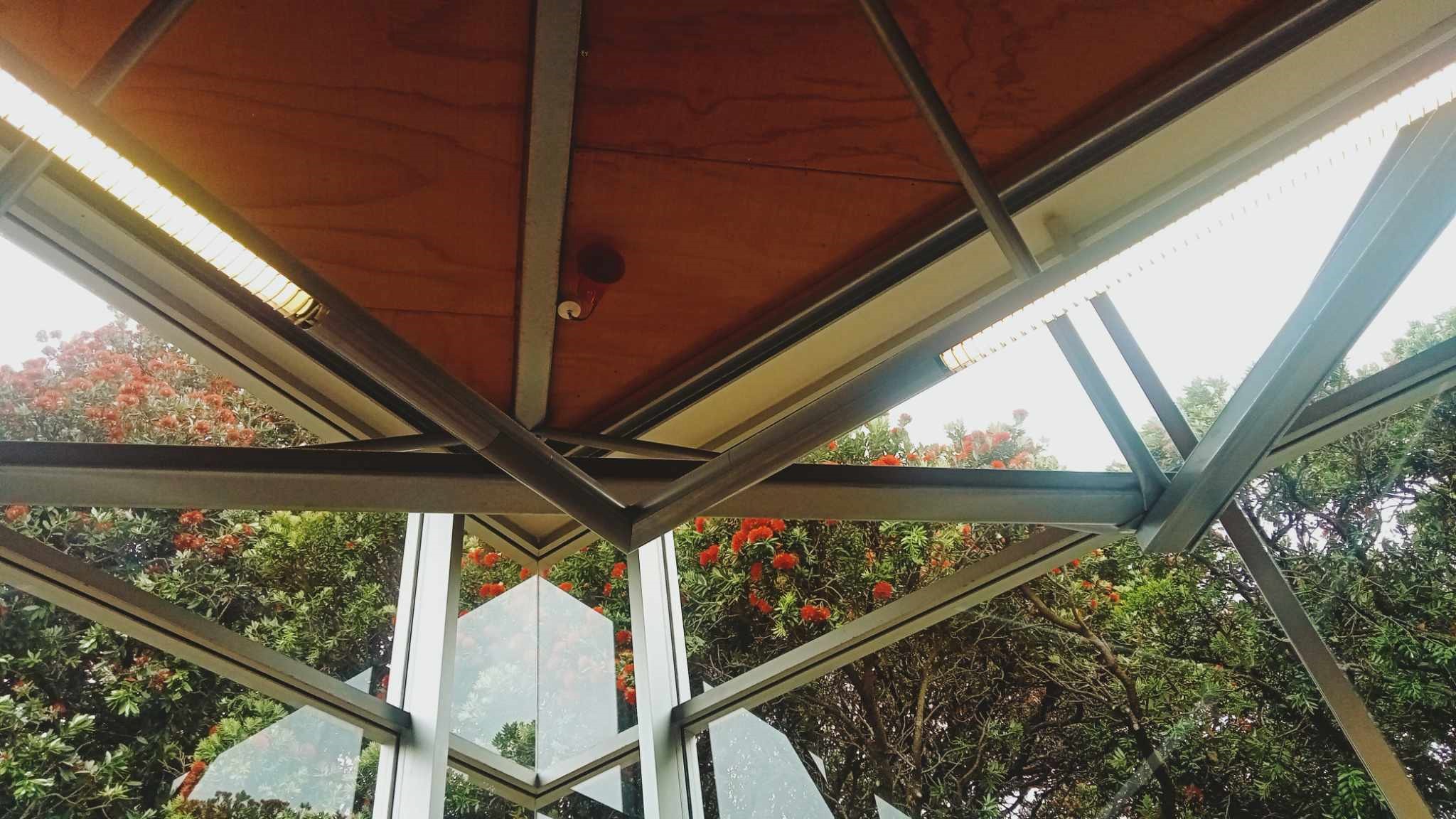 The corner of the building. Orange-toned wood on the ceiling, with a large corner window looking towards a Pohutukawa tree with vibrant red flowers.