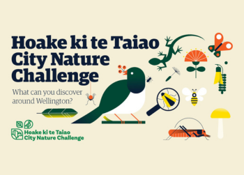 Explore and Discover with the City Nature Challenge!