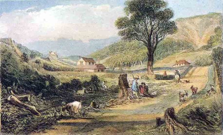 Mr Brees Cottage, Karori Road, by Samuel Charles Brees, Pictorial Illustrations of New Zealand, John Williams and Co., London, 1848.