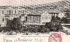 Wellington Hospital and grounds, from the library's Postcard Collection
