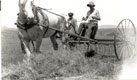 1930s Bill Shaw Hay-Making