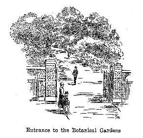Entrance to the botanical gardens illustration page 308